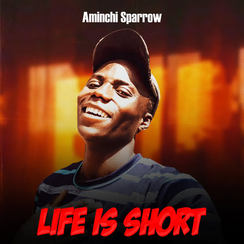 Aminchi Sparrow - Life Is Short