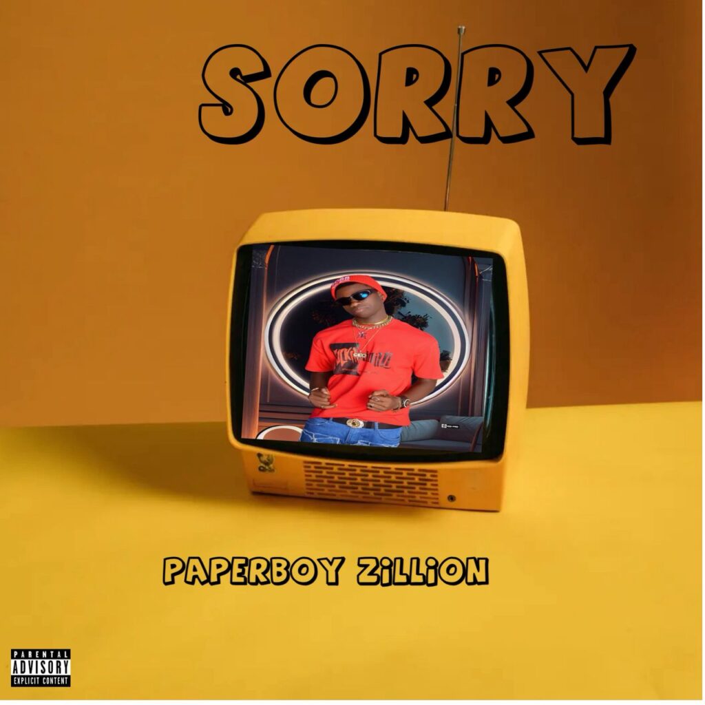 Paperboy Zillion - Sorry