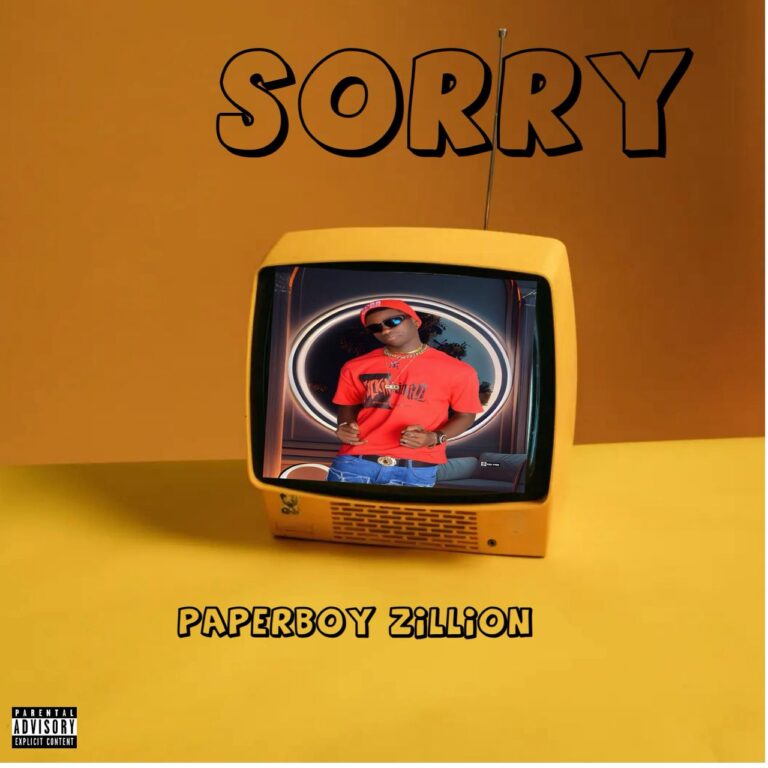 Paperboy Zillion - Sorry
