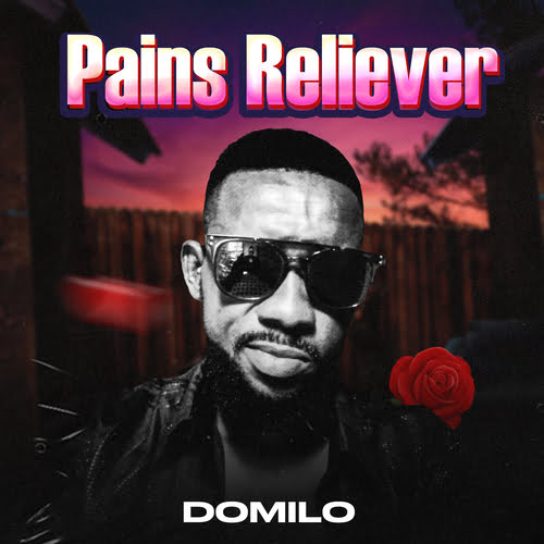Domilo - Pains Reliever
